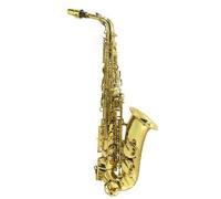Arnolds & Sons AAS100 YG - Saxofón alto con funda