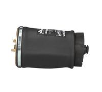 Arnott A-2502 Muelle neumático, suspensión