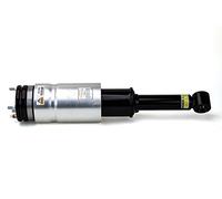 Amortiguador telescópico neumático ARNOTT EUROPE AS-2809