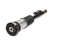 Arnott Amortiguador de Aire Trasero Izquierdo para Mercedes-Benz CLASE W221 C216