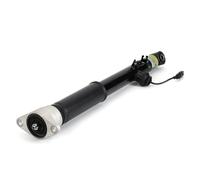 Arnott Amortiguador Trasero Derecha Presión Apto para Audi A6 4F2 C6 4FH 4F5