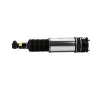 Arnott AS-2980 Amortiguador neumático