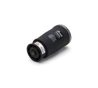 Muelle neumático, suspensión ARNOTT EUROPE A-2737 izquierda