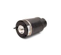 Arnott Europe Muelle neumático, suspensión para MERCEDES-BENZ: Classe ML L (Ref: A-2575)