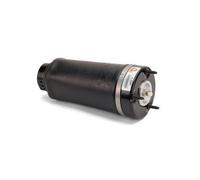 Arnott Europe Muelle neumático, suspensión para MERCEDES-BENZ: Classe R (Ref: A-2587)