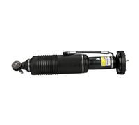 Arnott SK-2412 Amortiguador neumático