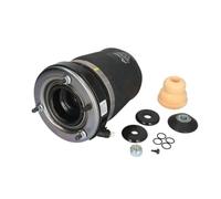 ArnottEurope Arnott A-2861 - Muelle de aire delantero derecho (0-06 BMW X5 (E53) con nivelación de 4 esquinas)