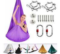 ARNTY Yoga Set para Adultos, Accesorios de Yoga, Carga de 500kg, Incluye Hardware de Instalación Completo (Morado)
