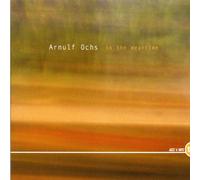 Arnulf Ochs - In the Meantime