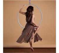 Aro de Lira aérea, Juego de aro aéreo - Equipo Profesional de aro de Lira aérea - Aro aéreo de 226 kg con Resistencia Probada, Incluye Kit de Montaje y Cinta Adhesiva.