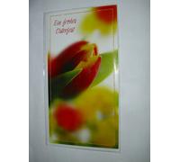 Arofol Doble 2FVAF000223 Arofol Double Tamaño 3 17 x 22,5