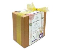 AROMAS DE ANDALUCIA Pack Regalo, Ambientador 160ml y Vela aromática 250gr. (Frutos Silvestres)