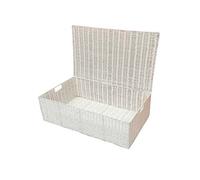 ARPAN - Caja de almacenamiento para debajo de la cama (resina, 57 x 36 x 17 cm), color blanco