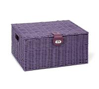 ARPAN - Cesta de Almacenamiento Grande de Resina con Tapa y Cierre, Color Morado