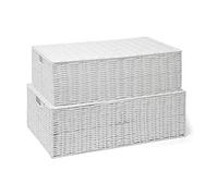 ARPAN - Cesta de Almacenamiento para Debajo de la Cama de Resina, con Tapa, Color Blanco (1 Grande, 1 Mediana)