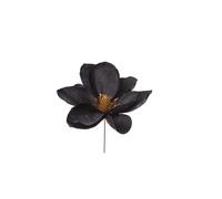 ARPIMEX Pick Magnolia Negra