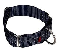 Arppe 196084040087 Collar Nylon Educativo Reflectante