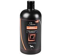 Arppe 2900019100 Champú Acondicionador, 1 l, Cranberry
