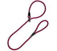Arppe 4033011128 Correa Collar Educativo Nylon, 14 mm