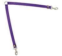 Arppe 4077012517 Acople para Dos Perros, Purpura