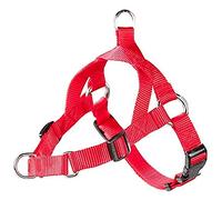 Arppe 4164012501 Arnés Educativo 2 Usos, Rojo, L