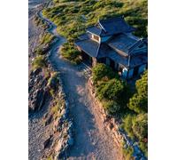 Arquitectura DIY Pintar por Numeros Adultos, Planta Pintar por Numeros Niños, Cuadros Manualidades Adultos Kits, DIY Paint by Numbers con Pinceles y Pinturas Acrílicas, Primavera Regalo 40x50cm Y-7999