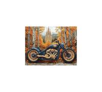 Arquitectura Pintar por Numeros Adultos, Luminiscencia Cuadros para Pintar por Numeros Motocicleta, Kit Pintura 40 x 55 CM para Regalo Mujer Luminiscencia Cuadros Decoracion Salon Modernos GYYH-6084