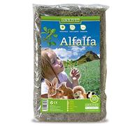 ARQUIVET Alfalfa para roedores 500 gr - Comida para Conejos, cobayas, Hamsters, Chinchillas - Alimentación Natural - Forraje para pequeños mamiferos - Alimento nutritivo Rico en vitaminas y minerales