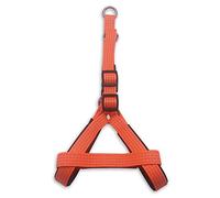 Arquivet Arnés para perro naranja - 1,5 x 40-50 cm