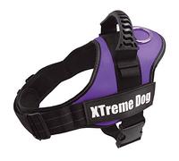 Arquivet Arnés para Perro Xtreme Dog de Color Lila - Talla L/70-95 cm - Ajustable, ergonómico y Resistente - Incluye Agarre en la Parte Superior Salir a pasear