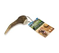 Arquivet Asta de Ciervo - Mordedor para Perros - Cuerno de Ciervo para Perros - Masticador Natural Perros - Asta de Ciervo caída Natural - M (40-75 g)