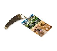 ARQUIVET Asta de Ciervo - Mordedor Perros - Cuerno de Ciervo para Perros - Masticador Natural Perros - Asta de Ciervo caída Natural -S (15-39 g)