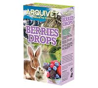 ARQUIVET Berries Drops Frutas del Bosque 65 gr -Snacks para roedores - Chuches, golosinas, premios, recompensas, chucherías para Conejos, Hamsters, cobayas, Hurones