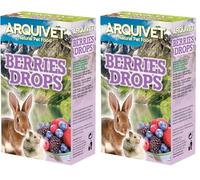 ARQUIVET Berries Drops Frutas del Bosque 65 gr -Snacks para roedores - Chuches, golosinas, premios, recompensas, chucherías para Conejos, Hamsters, cobayas, Hurones (Paquete de 2)