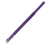 Arquivet Collar nylon morado - 2 x 45 cm