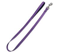 Arquivet Correa nylon morada - 2,5 x 120 cm