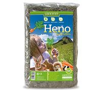 Arquivet Heno con Zanahoria para roedores y pequeños mamíferos 500 gr -Hierba para roedores - Complemento alimenticio roedores - Conejos, cobayas, Hamsters, Ardillas