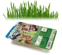 Arquivet Hierba Natural para Gatos y Roedores 100 gr