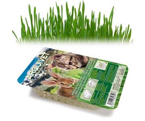 Arquivet Hierba Natural para Gatos y Roedores 100 gr