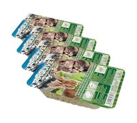 Arquivet Hierba para Gatos en Bandeja (Paquete de 4)