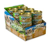 ARQUIVET - Latas súper Premium de atún Blanco con anchoas en Salsa para Gatos - Comida Gourmet elaborada con Ingredientes 100% Naturales - Pack 24 Unidades - 80 gr por Unidad - Comida húmeda