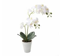 Arreglo de orquídeas artificiales con tallo coordinado y diseño para construcción narrativa interior cohesiva (blanco)