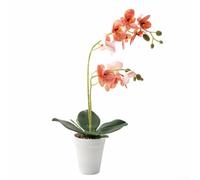Arreglo de orquídeas artificiales con tallo coordinado y diseño para una construcción narrativa interior cohesiva (naranja)