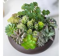 Arreglo de suculentas artificiales contemporáneas con estructura de mini bonsái para fines de estilo interior (E)