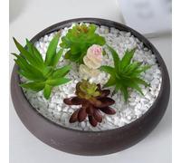 Arreglo de suculentas artificiales contemporáneas con estructura de mini bonsái para fines de estilo interior (D)