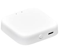 Arregui BRIDGE - Dispositivo para la Conexión Remota de los Productos de Arregui Security: SPIN, SPIN UP, CYCLO, KEEPER 2.0, ACCESS | Control desde Smartphone | Compatible con Google Assistant y Alexa