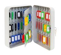 Arregui PLL60 Armario de Llaves con Ganchos Fijos | 60 Llaves | Caja de Seguridad de Acero para Llaves | con Llaveros Incluidos | Fácil Instalación en Pared | 25 x 18 x 8 cm | Gris