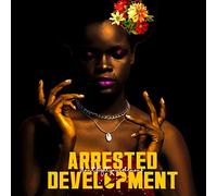 Arrested Development - Don't Fight Your Demons [Vinilo]