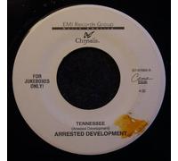 Arrested Development - EVERYDAY PEOPLE