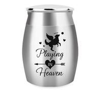 arricraft Urna de cremación de acero inoxidable, con diseño de palabras en el cielo, urna conmemorativa para cenizas de perro, con bolsas de terciopelo, pequeño contenedor de urna de recuerdo para